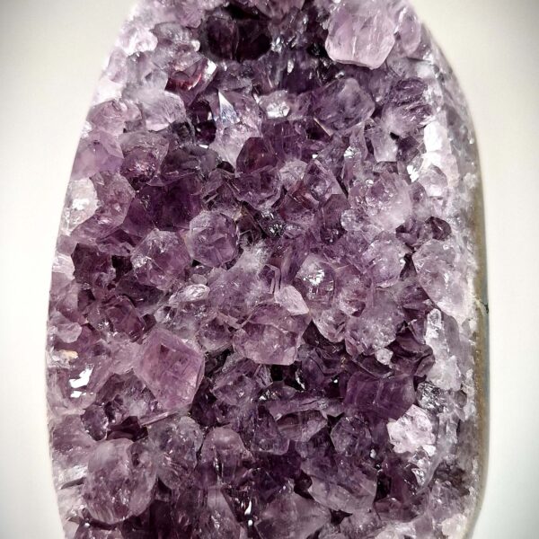 Amethyst Druse mit dicht gewachsenen ,zart bis mittelvioletten Kristallspitzen, Standfläche geschnitten