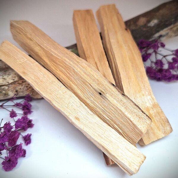 Palo Santo -heiliges Holz- Natürliches Holz-Südamerika